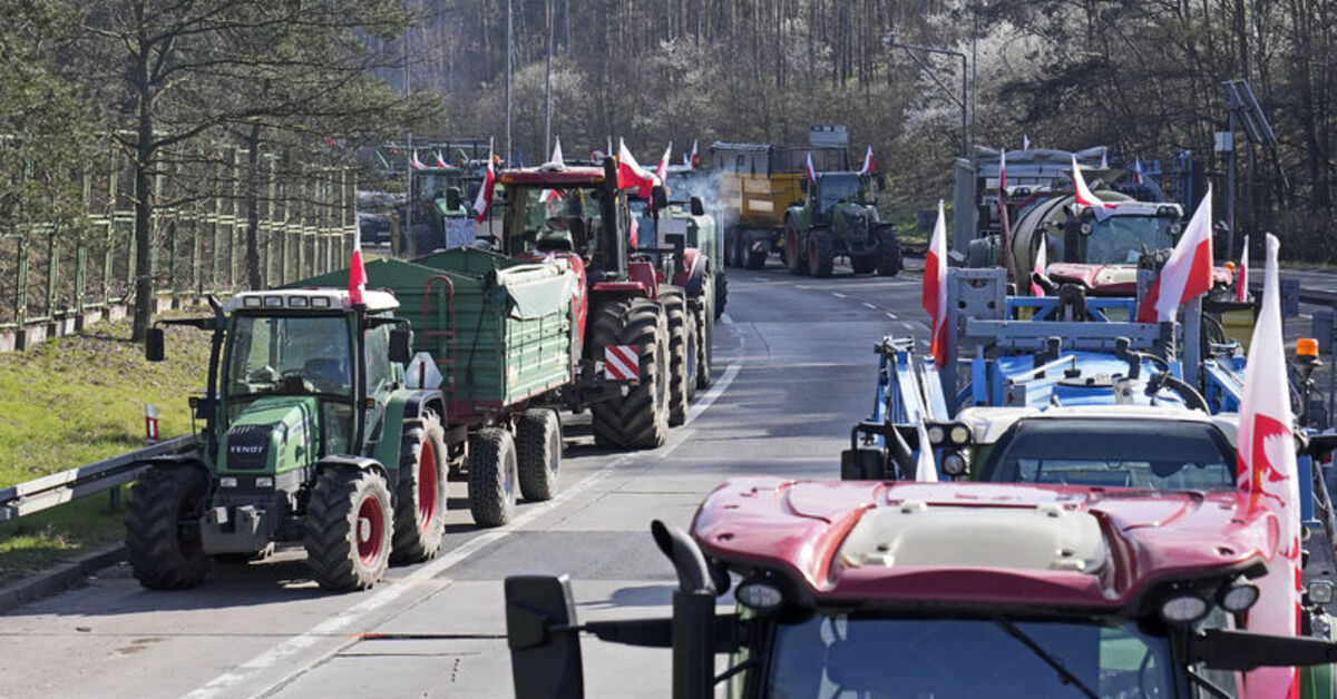 Birçok ülke, iklim protestolarını bastırmak için sert tedbirlere başvuruyor