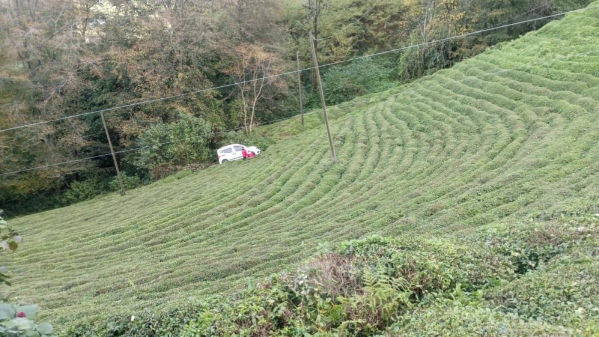 Rize’de otomobil çay bahçesine yuvarlandı