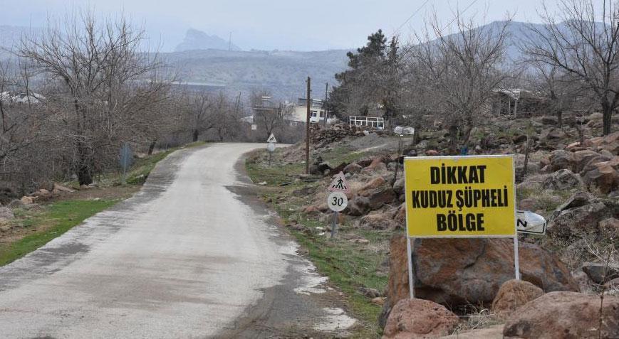 Köyde kuduz alarmı! ‘Kadının burnunu kopardı, çocuklar yaralandı’