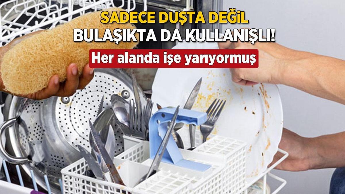 Sadece duşta değil, bulaşıkta da kurtarıcı! Kabaktan gelen sağlık, süngeri atın